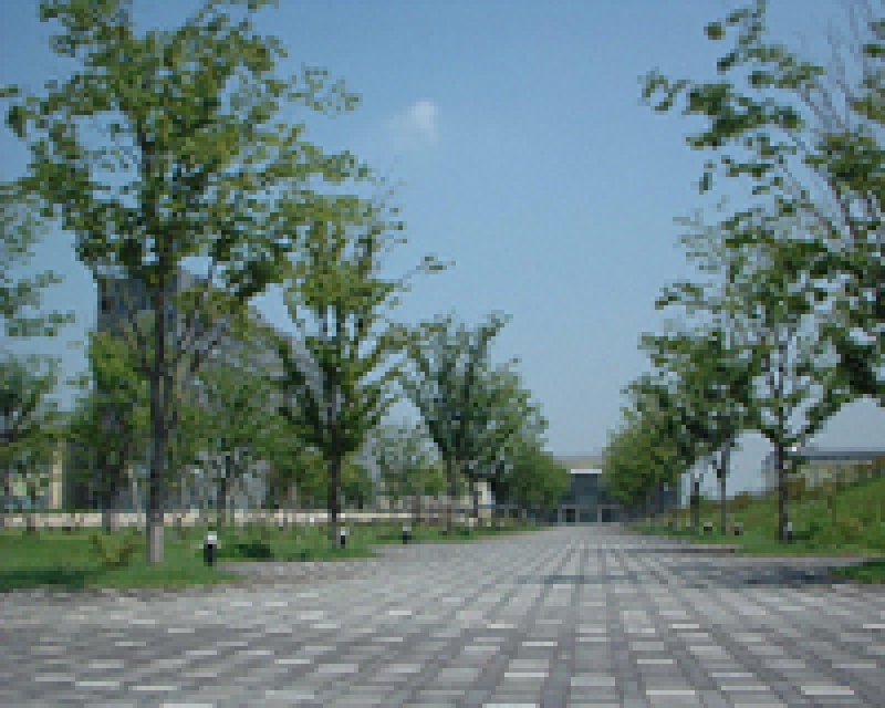 看護大学キャンパス造園工事