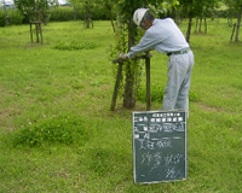 二脚鳥居補修工事